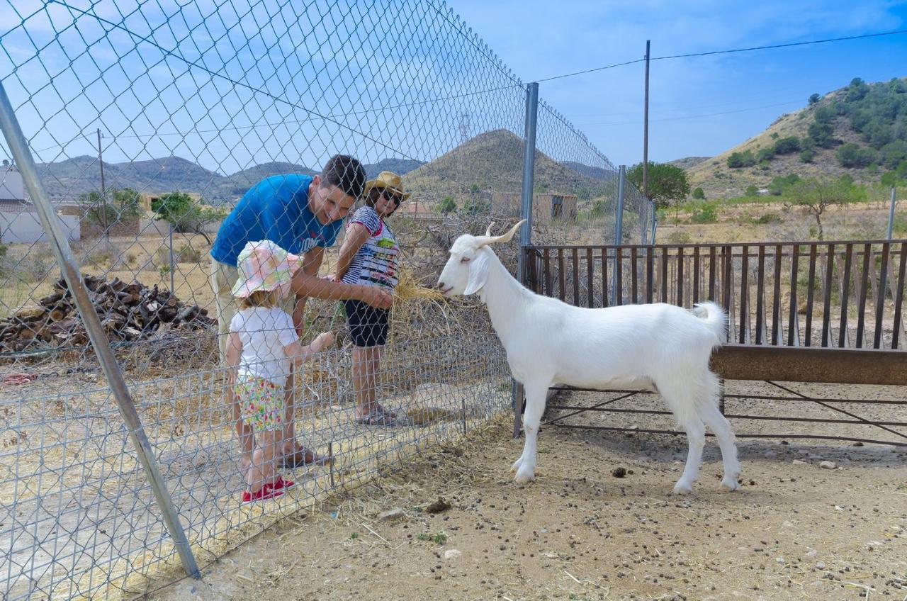 Finca Liarte Affittacamere Fuente Alamo  Esterno foto