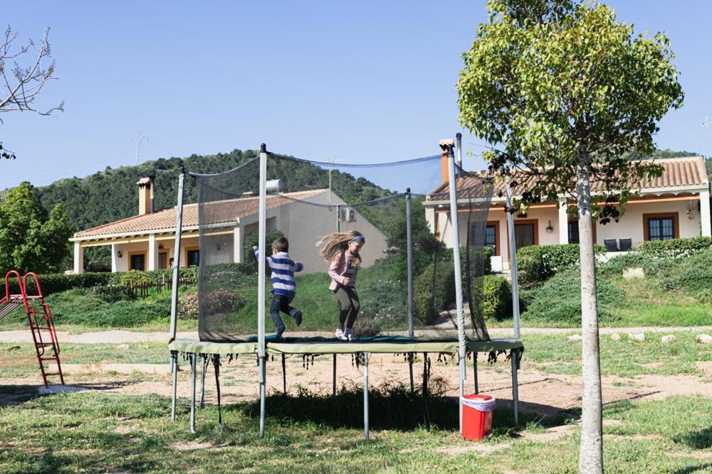 Finca Liarte Affittacamere Fuente Alamo  Esterno foto